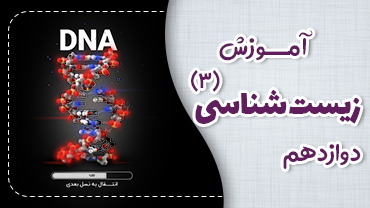 آموزش (مفهومی+جامع) زیست دوازدهم - نیم سال دوم